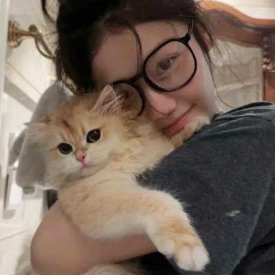 亚瑟与梅林:圣杯骑士